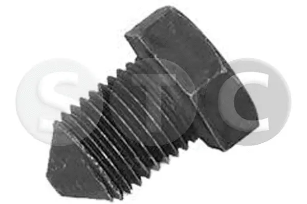 Screw Plug, oil sump (T404209)