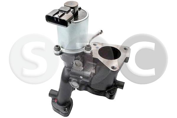 EGR Valve (T493115)