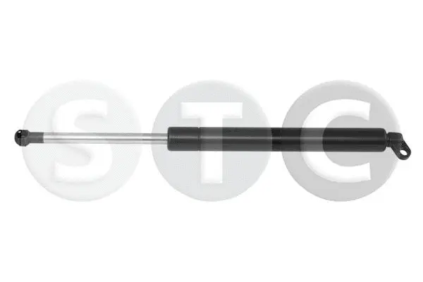 Gas Spring, boot/cargo area (T446169)