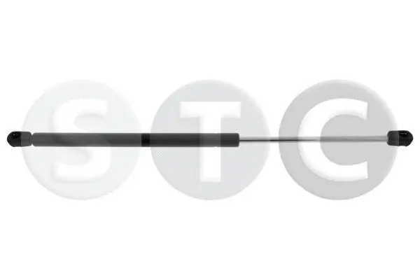 Gas Spring, rear window (T446541)