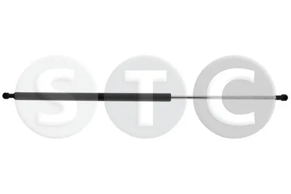 Gas Spring, boot/cargo area (T446477)