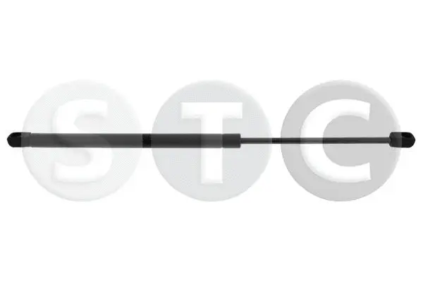 Gas Spring, boot/cargo area (T446450)