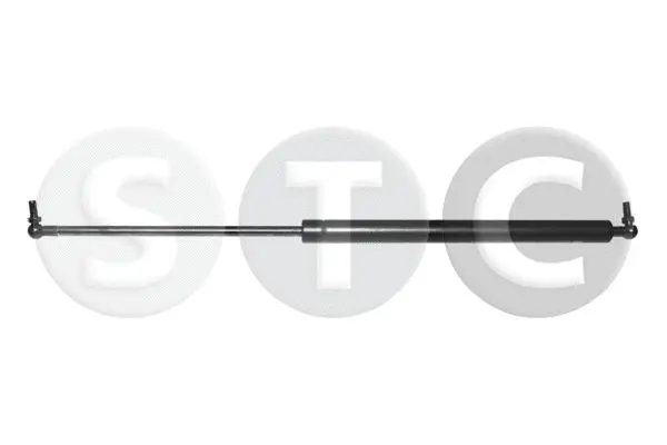 Gas Spring, boot/cargo area (T446780)