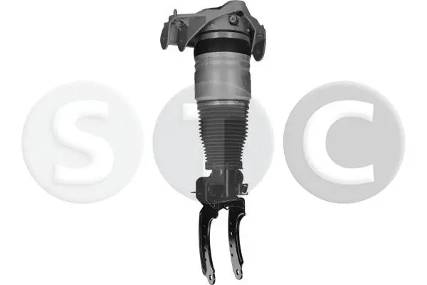 Air Suspension Strut