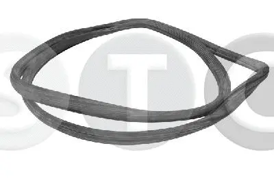 Seal, windscreen (T442829)