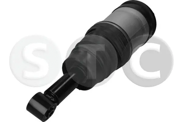 Air Suspension Strut