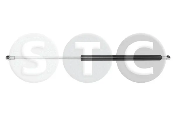 Gas Spring, boot/cargo area (T446401)