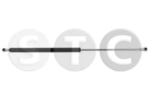 Gas Spring, boot/cargo area (T446470)