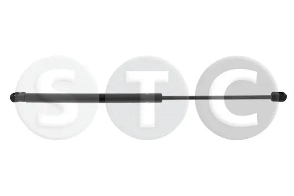 Gas Spring, boot/cargo area (T446768)