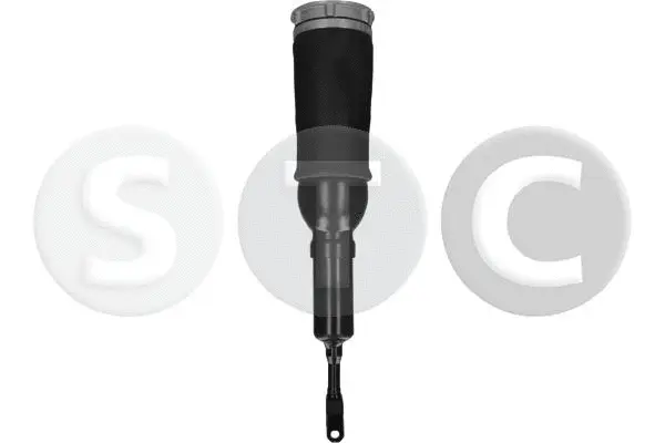 Air Suspension Strut