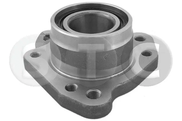 Wheel Hub (T490387)