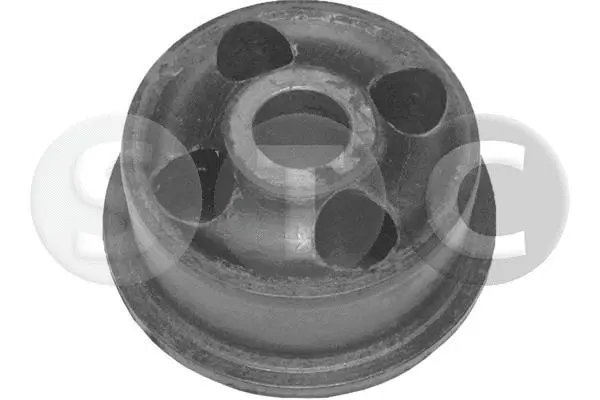 Bushing, axle beam (T404247)