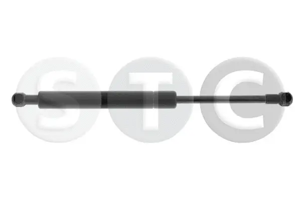Gas Spring, boot/cargo area (T446466)