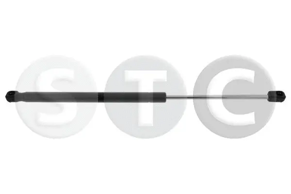 Gas Spring, boot/cargo area (T446514)