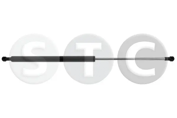Gas Spring, boot/cargo area (T446804)