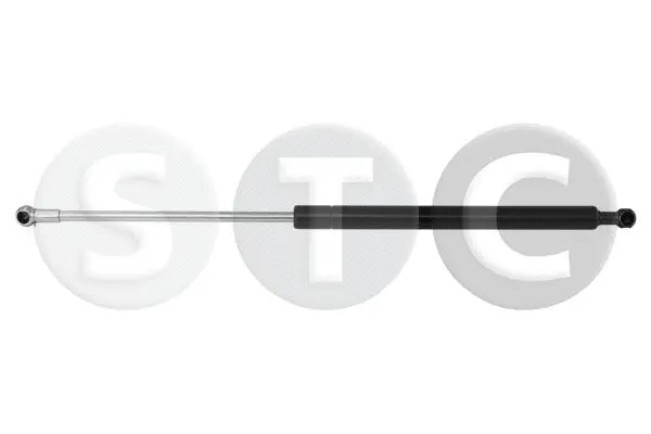Gas Spring, boot/cargo area (T446283)