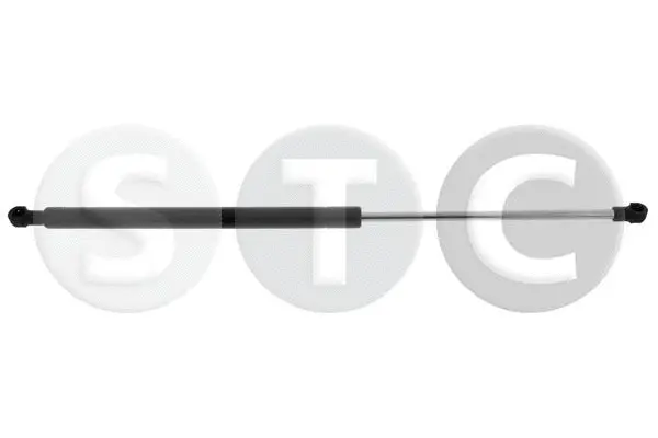 Gas Spring, boot/cargo area (T446729)