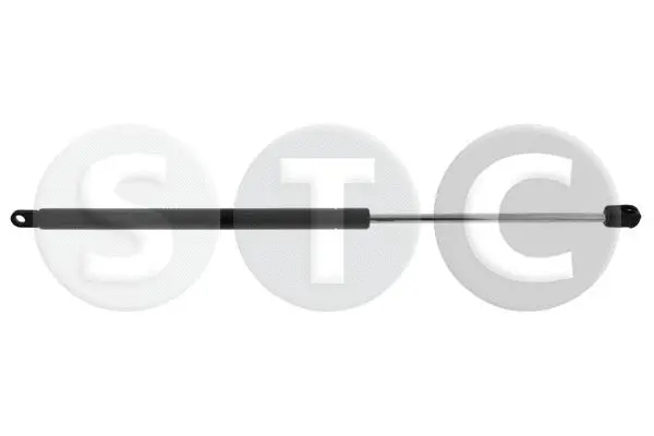 Gas Spring, boot/cargo area (T446448)