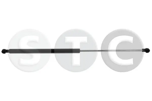 Gas Spring, rear window (T446584)