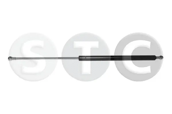 Gas Spring, boot/cargo area (T446596)