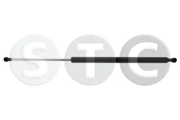 Gas Spring, boot/cargo area (T446594)