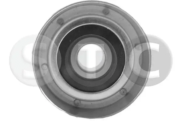 Deflection/Guide Pulley, timing belt (T448579)
