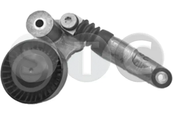 Tensioner Lever, V-ribbed belt (T447336)