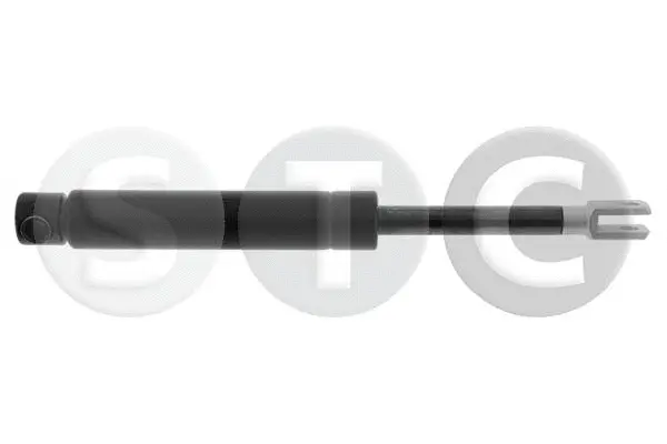 Gas Spring, boot/cargo area (T446355)