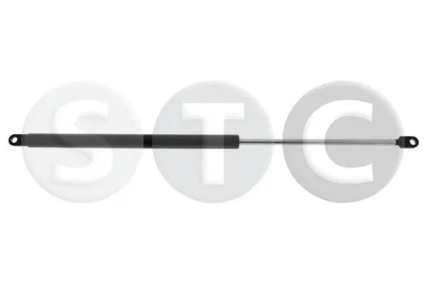 Gas Spring, boot/cargo area (T446427)