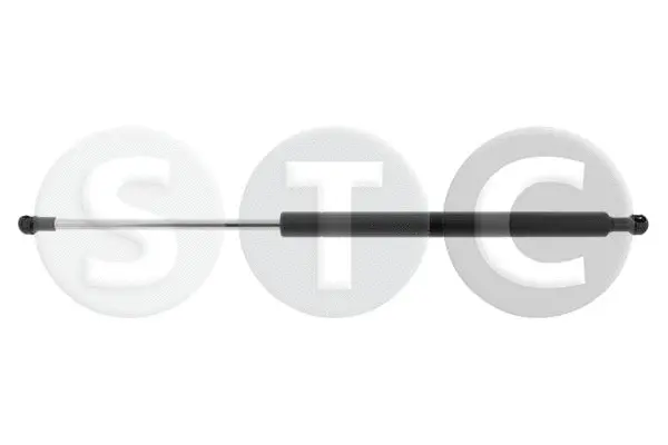 Gas Spring, boot/cargo area (T446416)