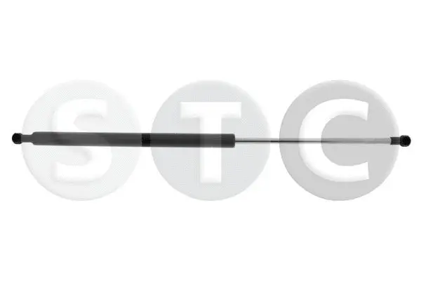 Gas Spring, boot/cargo area (T446444)