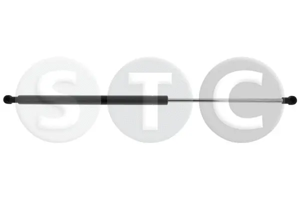 Gas Spring, bonnet (T446573)