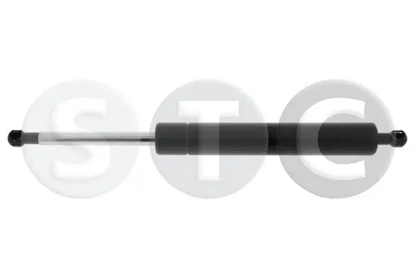 Gas Spring, boot/cargo area (T446501)
