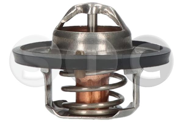 Thermostat, coolant (T431287)