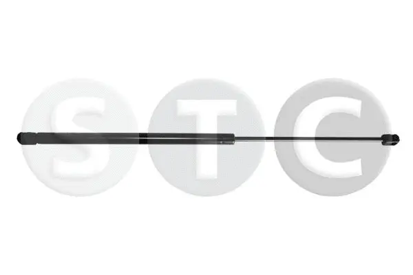 Gas Spring, boot/cargo area (T446451)