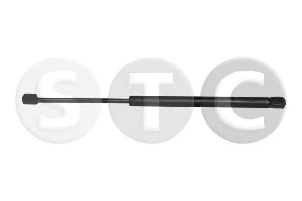 Gas Spring, boot/cargo area (T446217)