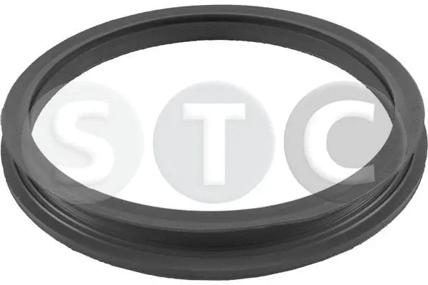 Seal, fuel filler neck (T447603)