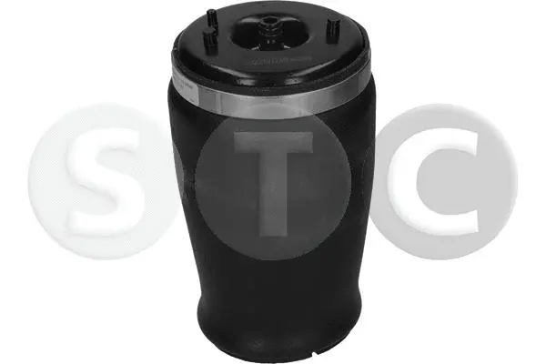 Air Spring, suspension