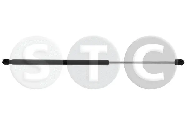 Gas Spring, boot/cargo area (T446523)