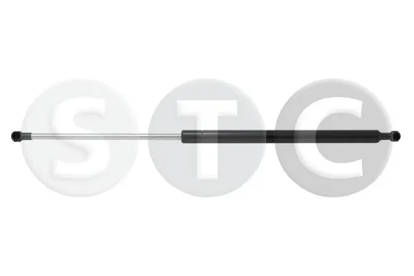 Gas Spring, boot/cargo area (T446158)