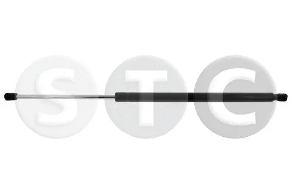 Gas Spring, boot/cargo area (T446794)