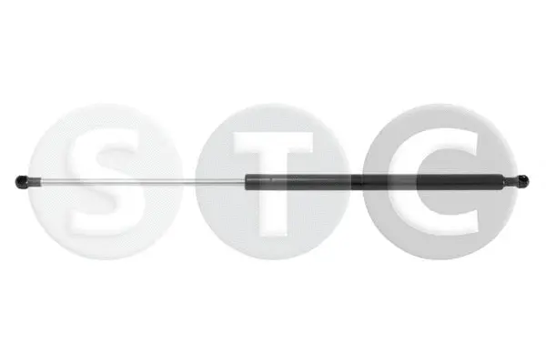 Gas Spring, boot/cargo area (T446846)