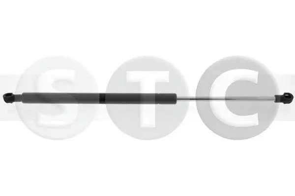Gas Spring, boot/cargo area (T446599)
