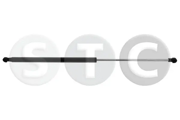 Gas Spring, boot/cargo area (T446529)