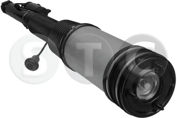 Air Suspension Strut