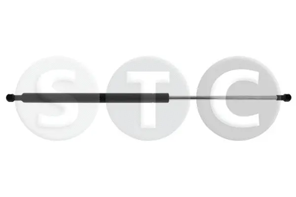 Gas Spring, bonnet (T446290)