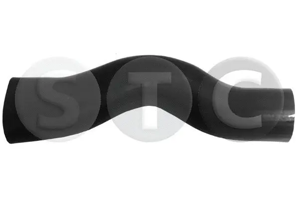 Charge Air Hose (T409801)