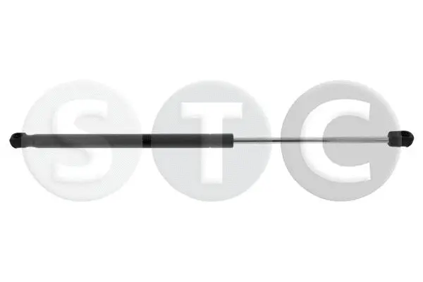 Gas Spring, boot/cargo area (T446224)