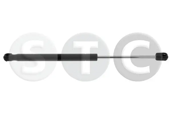 Gas Spring, boot/cargo area (T446857)