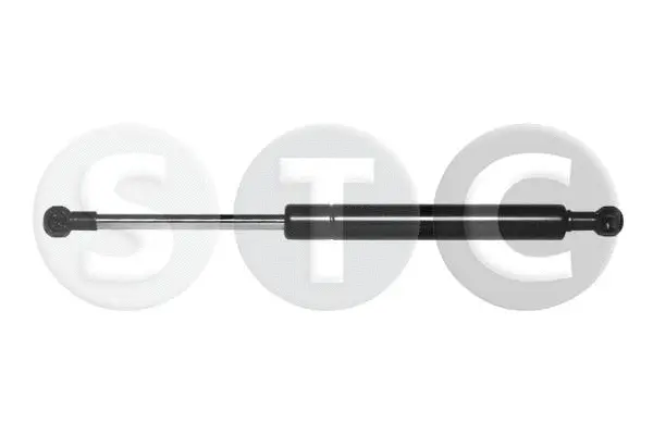 Gas Spring, boot/cargo area (T446786)